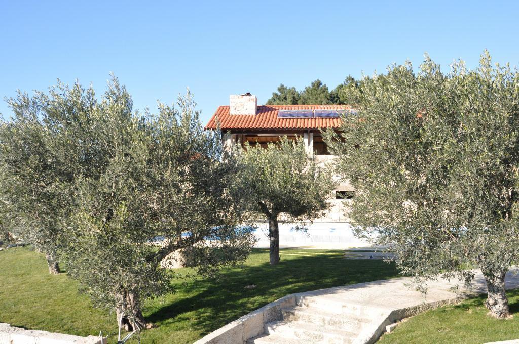 Gasthaus Quinta Do Olival Vilas Boas  Exterior foto